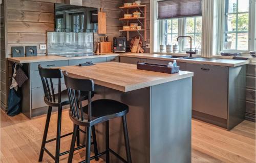 Hovden House | Stunning Home In Hovden I Setesdal