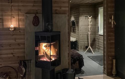 Fla Municipality House | Stunning Home In Eggedal With Wifi