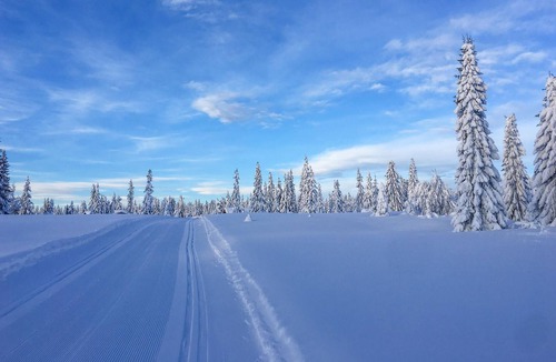 Sjusjoen House | Stunning home in Sjusjøen with sauna