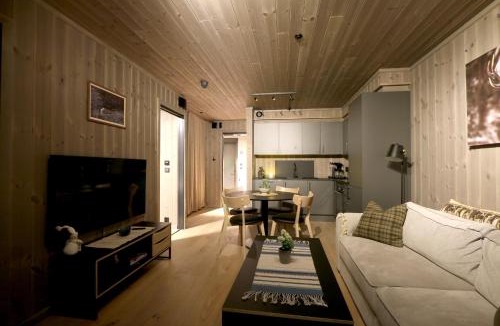 Hemsedal Apartment | Stylish apartment in Hemsedal, Ski in-ski out