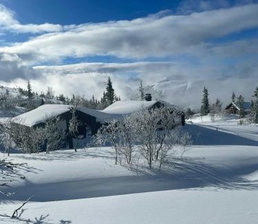 Flaa House | Stylish Mountain Cabin In Hallingdalen