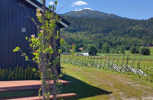 Sauland Other | Suigard Veslestugo