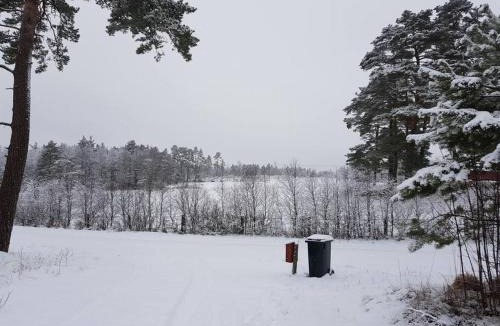 Lidhult House | Svensk skovhytte