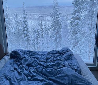 Arvidsjaur House | Swedish Treehouse