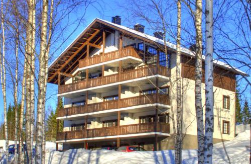 Tahkovuori Ski Chalet | Tahkonkehto C 301