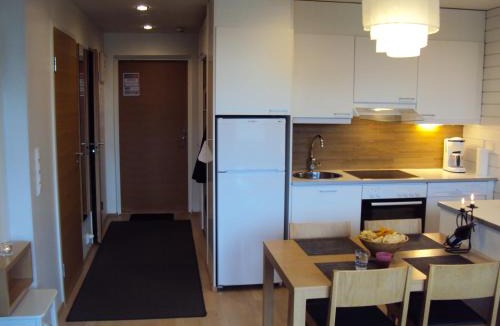 Tahkovuori Apartment | Tahkovuori Chalets B 502