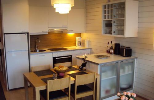 Tahkovuori Apartment | Tahkovuori Chalets B 502