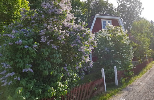 Rimbo House | The brickmaker's cottage
