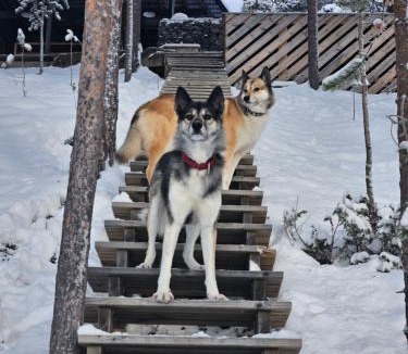 Jukkasjarvi Ski Chalet | The Lakeview Cabin