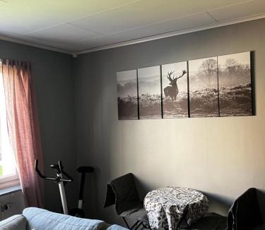 Saffle Municipality Apartment | The Lugnadalsgatan 3, 66131 Säffle welcomes you!