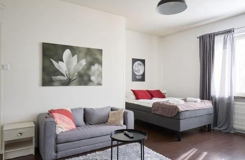 Turku Apartment | Tilava yksiö Port Arthurissa, iso keittiö