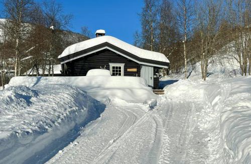 Hemsedal House | Timber Cabin With Ski-In Access At Solheisen
