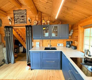 Galaa House | Timber Cabin With View Over Highlands Near Røros