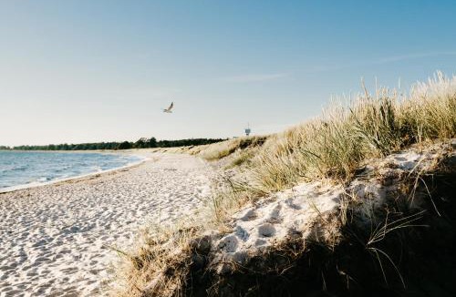 Tofta Bed & Breakfast | Toftagården Bed and Breakfast