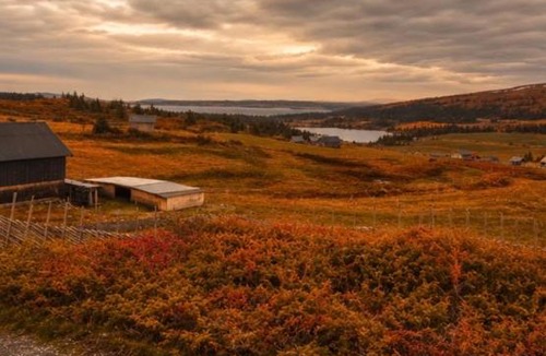 yer Apartment | Toppen av Hafjell