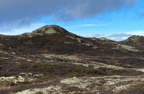 Nore og Uvdal House | Traditional cabin in Nøsterbølia