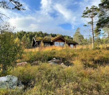 Treungen House | Traditional Log Cabin Near Treungen