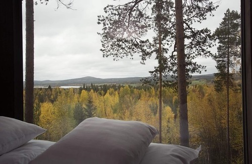 Harads House | Tree Hotel