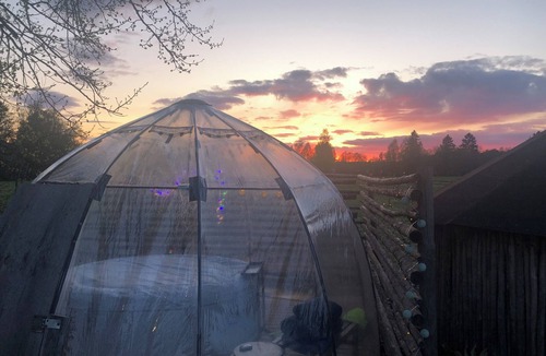Avesta House | Treehouse Magpies Nest With Bubble Pool