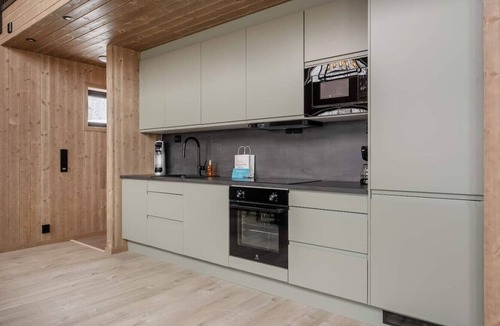Trysil Apartment | Trysil Ski-in/out Apt, Hot Tub, 4 BR