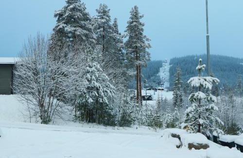 Innbygda Villa | Trysil turistesenter liten leilighet
