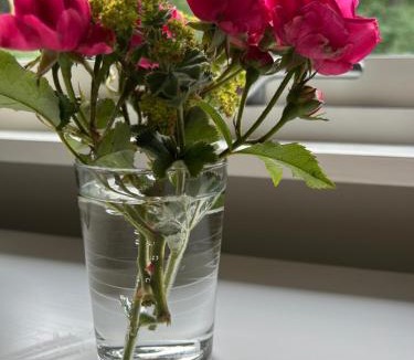 Jonstorp Apartment | Tunneberga 1 65