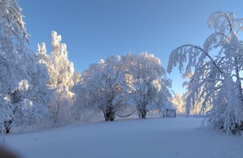 Sotkamo Ski Chalet | Tunnelmallinen mökki saunalla