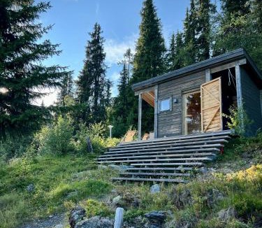 Nord-Aurdal House | Unique Cabin And Freestanding Sauna With Views