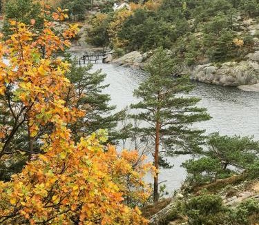 Fredrikstad House | Unique Cabin By The Water On Kråkerøy