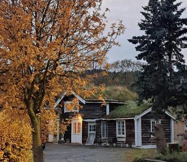 Tolga Municipality House | Unique Gem From 1920 With Murals In Tolga
