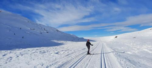 Nord-Aurdal House | Utsikt mot fjellene Ski in out 16 sengeplasser