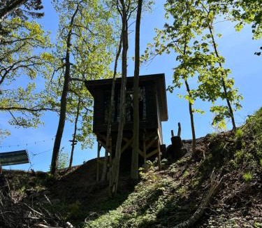 Habo Cabin | Vättervy Glamping- Ravinstuga