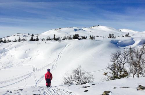Valadalen Other | Vålågårdens Värdshus och Camping AB