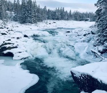 Valadalen Other | Vålågårdens Värdshus och Camping AB