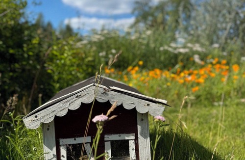 Jarnforsen House | Vacation home in Sweden with large garden, close to the lake in Småland