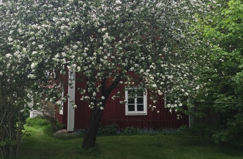 Hogsby House | Vacation in Småland in a typical Swedish house with Geschichte🇸🇪