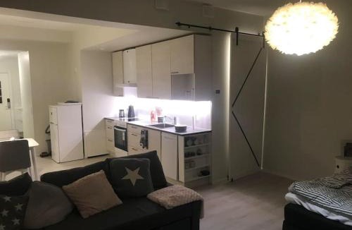 Rauma Apartment | Valoisa avara yksiö loistavalla sijannilla