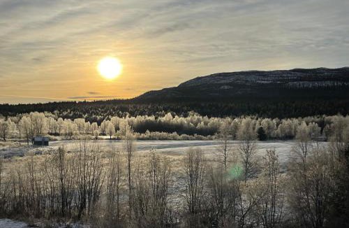 Ammarnas Hostel | Vandrarhemsboende på Ammarnäsgården