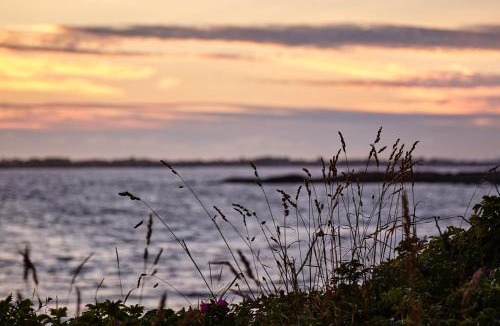 Apelviken Hotel | Varbergs Kusthotell