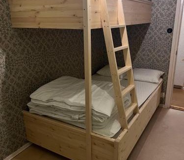 Alvdalen Hostel | Vasaloppsgården - egen hockeyrink