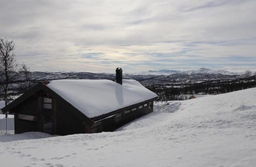 Al House | Veslestølen - Ålhytte with amazing view, 1000 meter