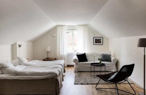 Atvidaberg Hotel | Villa Baro