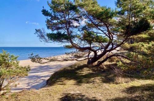 Brosarp Villa | Villa Brösarp - Villa Brösarp