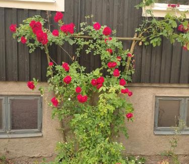 Hultsfred Municipality House | Villa Karllösa - Bed and Breakfast