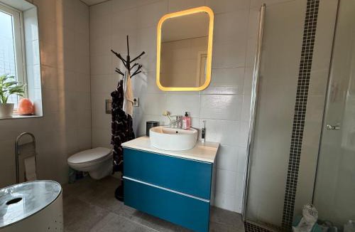 Tertnes Villa | Villa med 5 soverom, 4 bad og 3 kjøkken, 400 m fra lokal badestrand