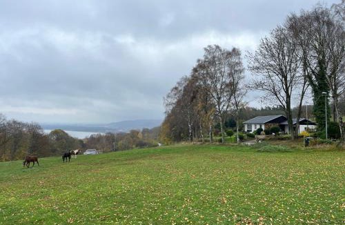Bastad House | Villa med fantastisk utsikt