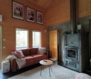 Jamsa Ski Chalet | Villa Visio - Himos