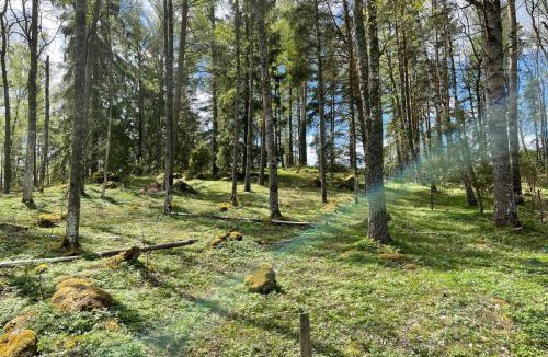 Tibro Villa | Villa Walterängen