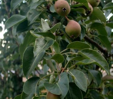 Vaasa Apartment | Vista