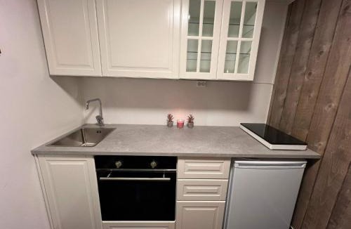 Vossestrand Apartment | Voss-Oppheim Suites Pool&Sauna Voss & Flom - L2